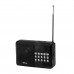 Радиоприемник Ritmix RPR-001, Черный Radio FM, USB/mSD, Accu18650/USB power, black