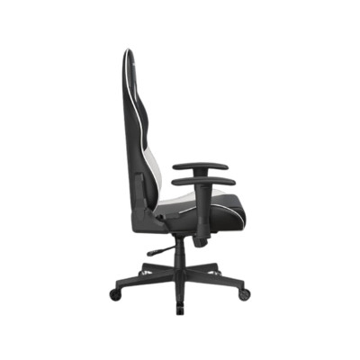 Игровое компьютерное кресло, DX Racer, GC/LPF24LTC/NW, Prince series, Рекомендуемый рост: до 180 см, Рекомендуемый вес: до 90 кг, Эко-кожа, Угол наклона до 135°, 2D подлокотники, Нейлоновая основа кресла, Механизм качания: топ-ган, Черно-белый