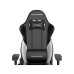 Игровое компьютерное кресло, DX Racer, GC/LGN23LTCLTA/NW, Gladiator series, Рекомендуемый рост: до 190 см, Рекомендуемый вес: до 115 кг, Эко-кожа, Угол наклона до 135°, 3D подлокотники, Нейлоновая основа кресла, Механизм качания: топ-ган, Черно-Белый