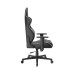 Игровое компьютерное кресло, DX Racer, GC/LGN23LTCLTA/NW, Gladiator series, Рекомендуемый рост: до 190 см, Рекомендуемый вес: до 115 кг, Эко-кожа, Угол наклона до 135°, 3D подлокотники, Нейлоновая основа кресла, Механизм качания: топ-ган, Черно-Белый