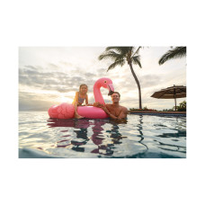 Надувная игрушка для катания верхом Фламинго (Pink Flamingo) 178 х 135 см, INTEX, 57558NP, Винил, 3+, Двухкамерная, С ручками, Розовая, Цветная коробка