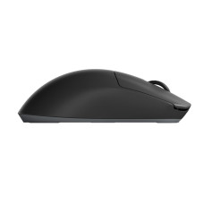 Компьютерная мышь, Dark Project, DPP_Novus_BG, Novus, Игровая, Оптическая, 26000dpi, 650 IPS, 6 кнопок, Беспроводная, USB, 2,4 ГГц, Чёрный
