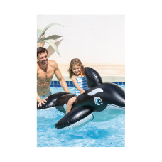 Надувная игрушка для катания верхом Косатка (Whale) 188 х 122 см, INTEX, 58561NP, Винил, С ручками, Чёрно-белая, Цветная коробка