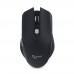 Мышь Gembird MUSW-240, Wireless, optical, 1AA, USB, Черный Mouse 800-1600 dpi, black