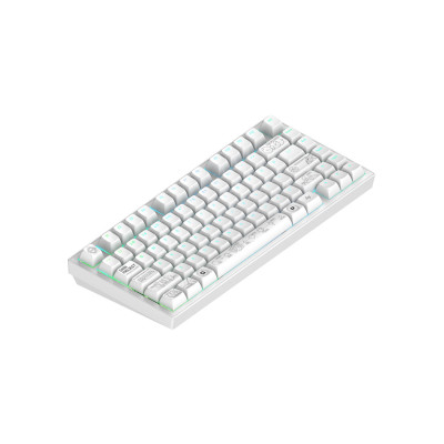 Клавиатура, Dark Project, DPKB_NOVA_81_ANSI_WHITE_UA, ALU81A Terra Nova, Игровая, Механическая, 75%, g3ms Moonstone switches, USB, 2,4 ГГц, Bluetooth, Подсветка RGB, Размер: 324 x 140 x 36 мм., Анг/Рус, Белый