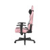Игровое компьютерное кресло, DX Racer, GC/LPF24LTC/PW, Prince series. Рекомендуемый рост: до 180 см, Рекомендуемый вес: до 90 кг, Эко-кожа, Угол наклона до 135°, 2D подлокотники, Нейлоновая основа кресла, Механизм качания: топ-ган, Розовый Игровое компьютерное кресло, DX Racer, GC/LPF24LTC/PW, Prince series. Рекомендуемый рост: до 180 см, Рекомендуемый вес: до 90 кг, Эко-кожа, Угол наклона до 135°, 2D подлокотники, Нейлоновая основа кресла, Механизм качания: топ-ган, Розовый